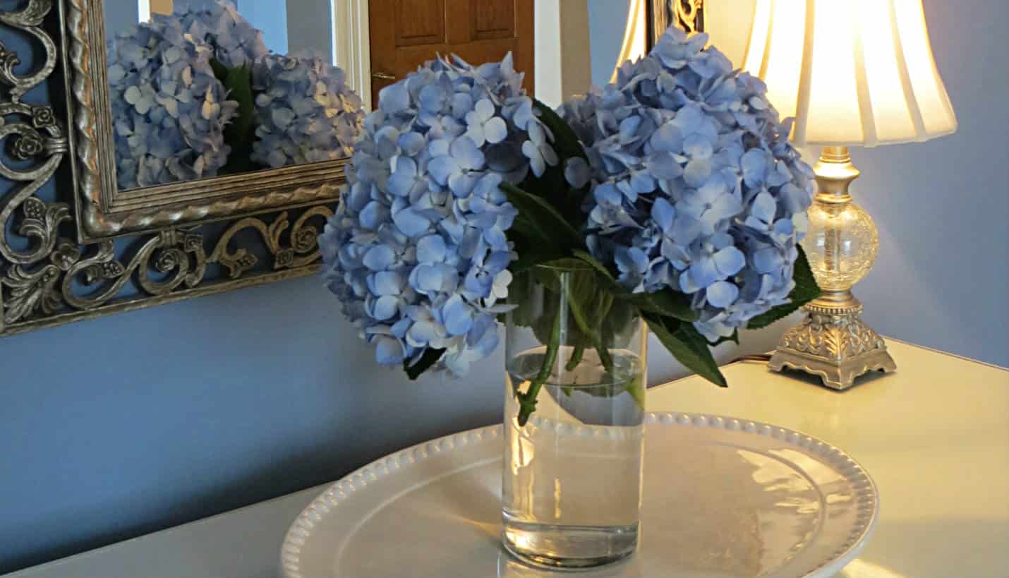 Vase with two blue hydrangeas in front of silver framed mirror and lamp surrounded by hydrangea blue walls