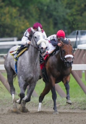 Gray horse and brown horse each with a rider racing down a track