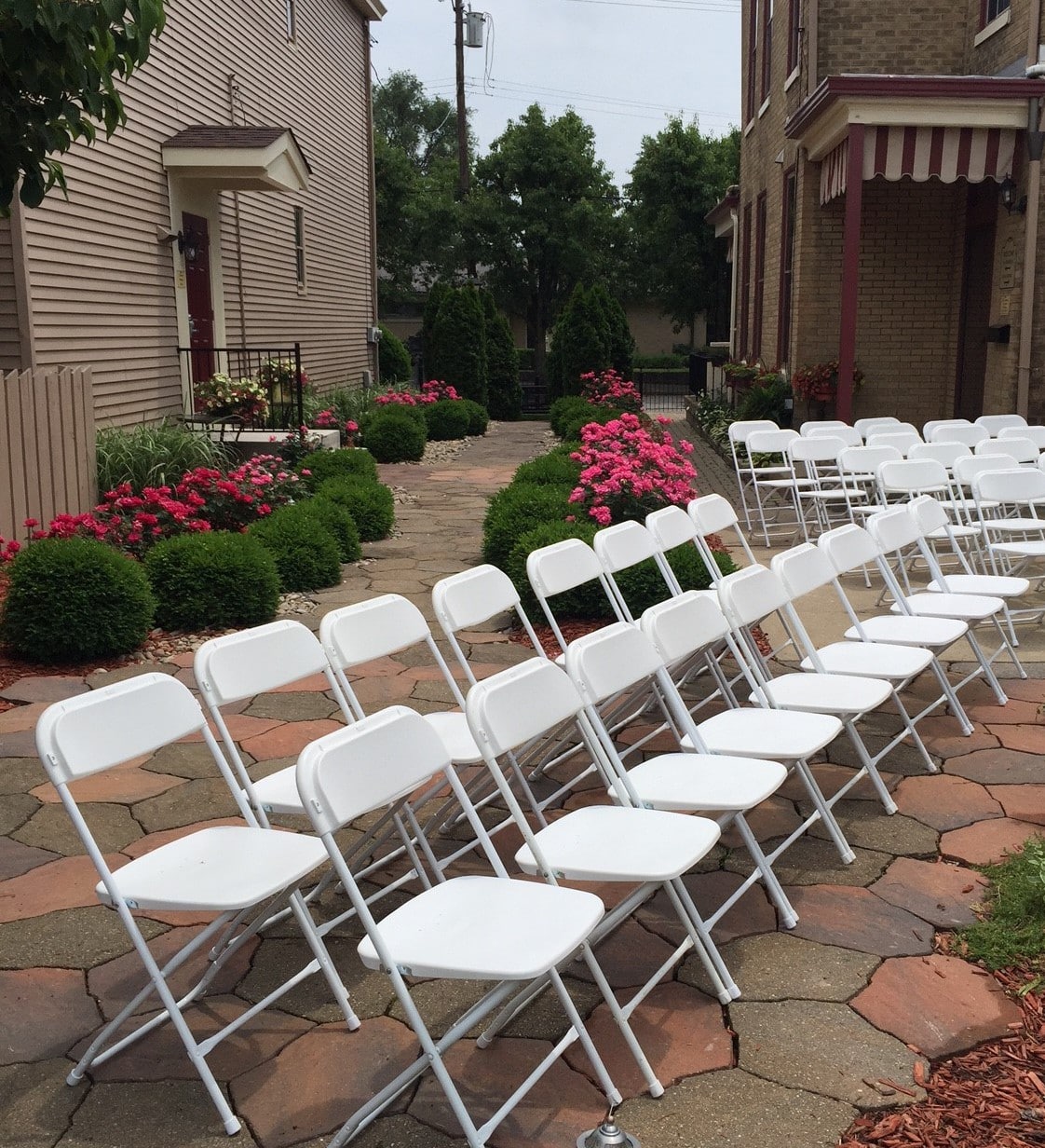 Patio with 25 white chairs, green small bushes and pink roses