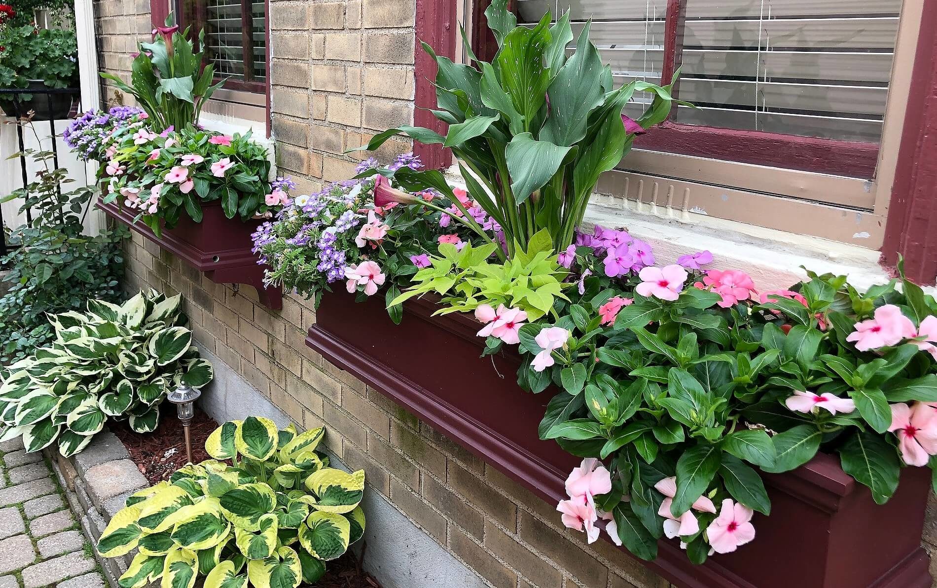 Burgundy window boxes filled with pink and purple flowers