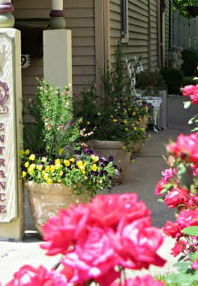 Front porch with a vertical entrance sign, pink rosebushes and three pots of purple, yellow and pink flowers