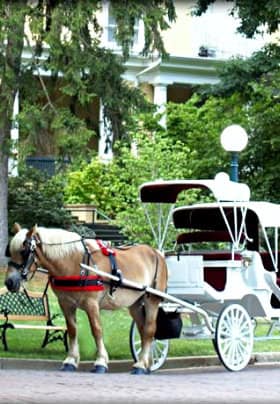 White carriage with spoke wheels and red interior pulled by a tan horse with a white mane