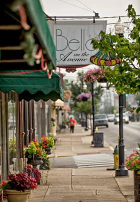 City street with storefront building with a green canvas awning, multiple green and red potted plants