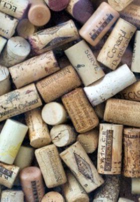 Arrangement of at least 50 different kind of wine corks in various shades of brown and tan with writing on the corks