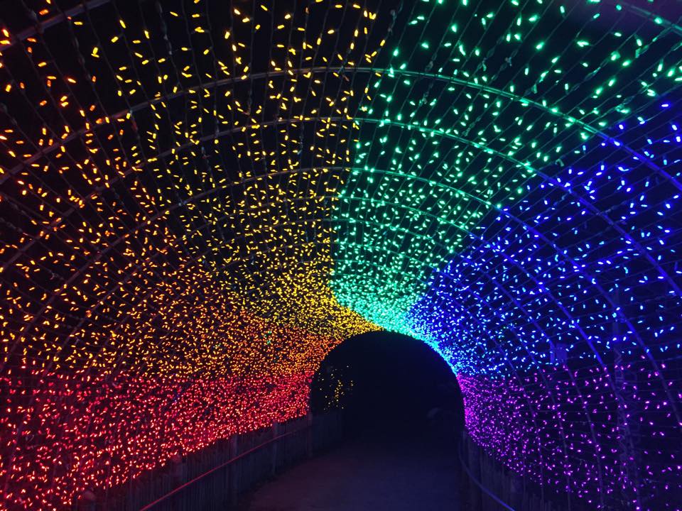 Lighted tunnel with red, orange, yellow, green, blue and purple tiny lights